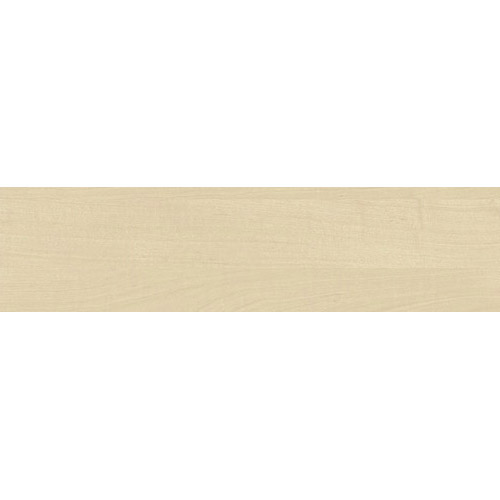 A319 PVC edge band 22х0.4 mm – Birch